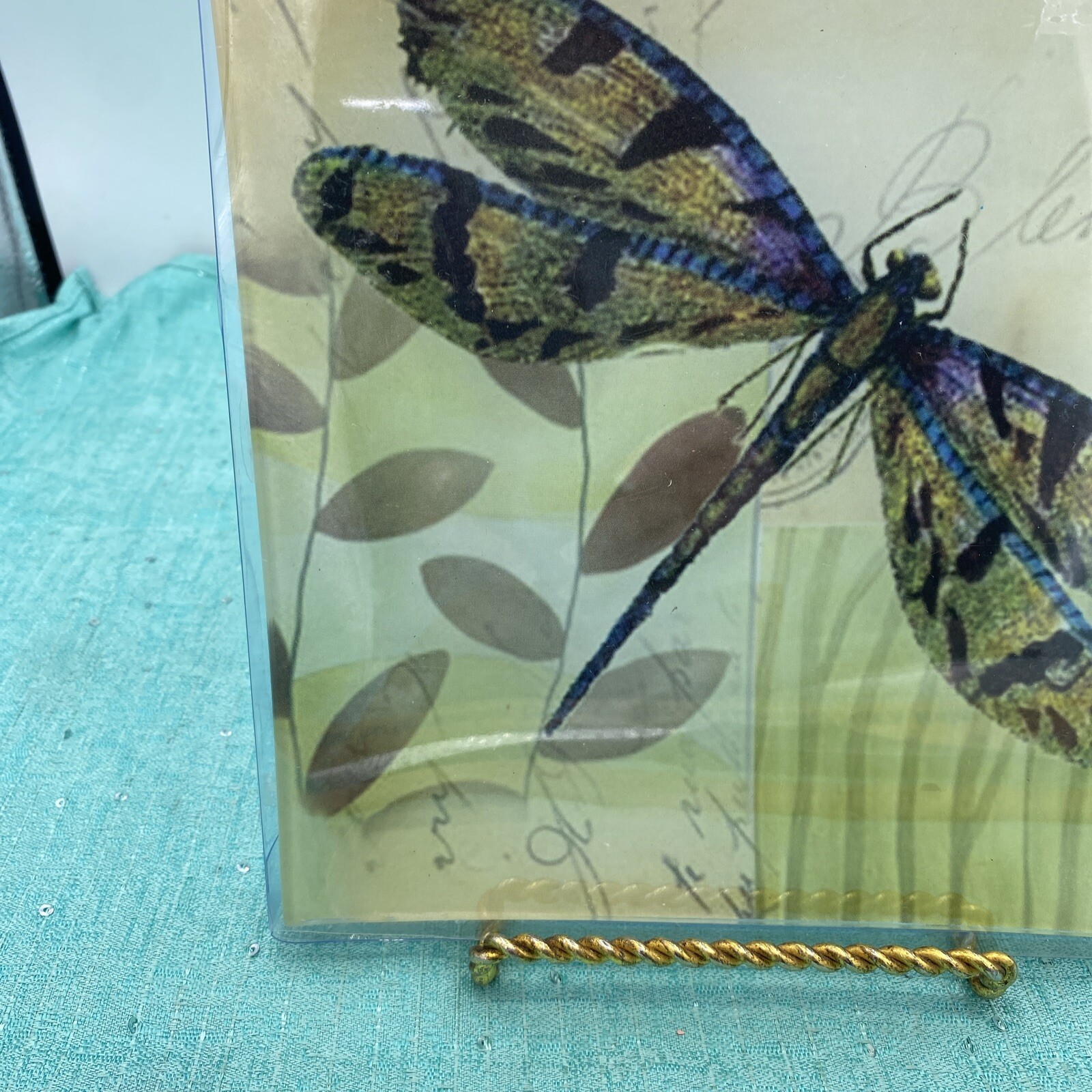 7.75” Square Pale Green Dragonfly Collector Glass Plate New In Box