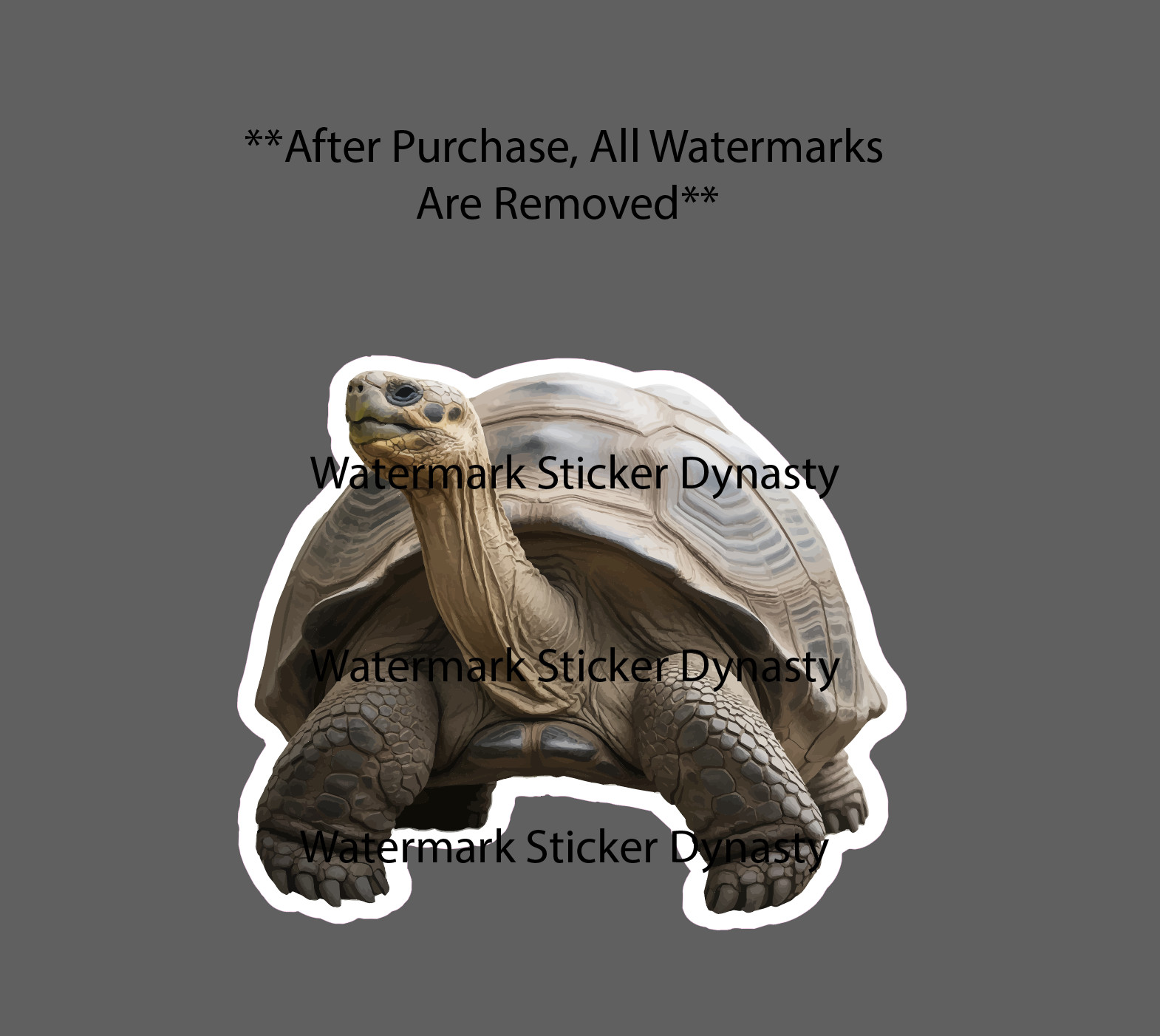 Giant Tortoise Sticker Waterproof Decal Animal Turtle Animal Nature Gift NEW