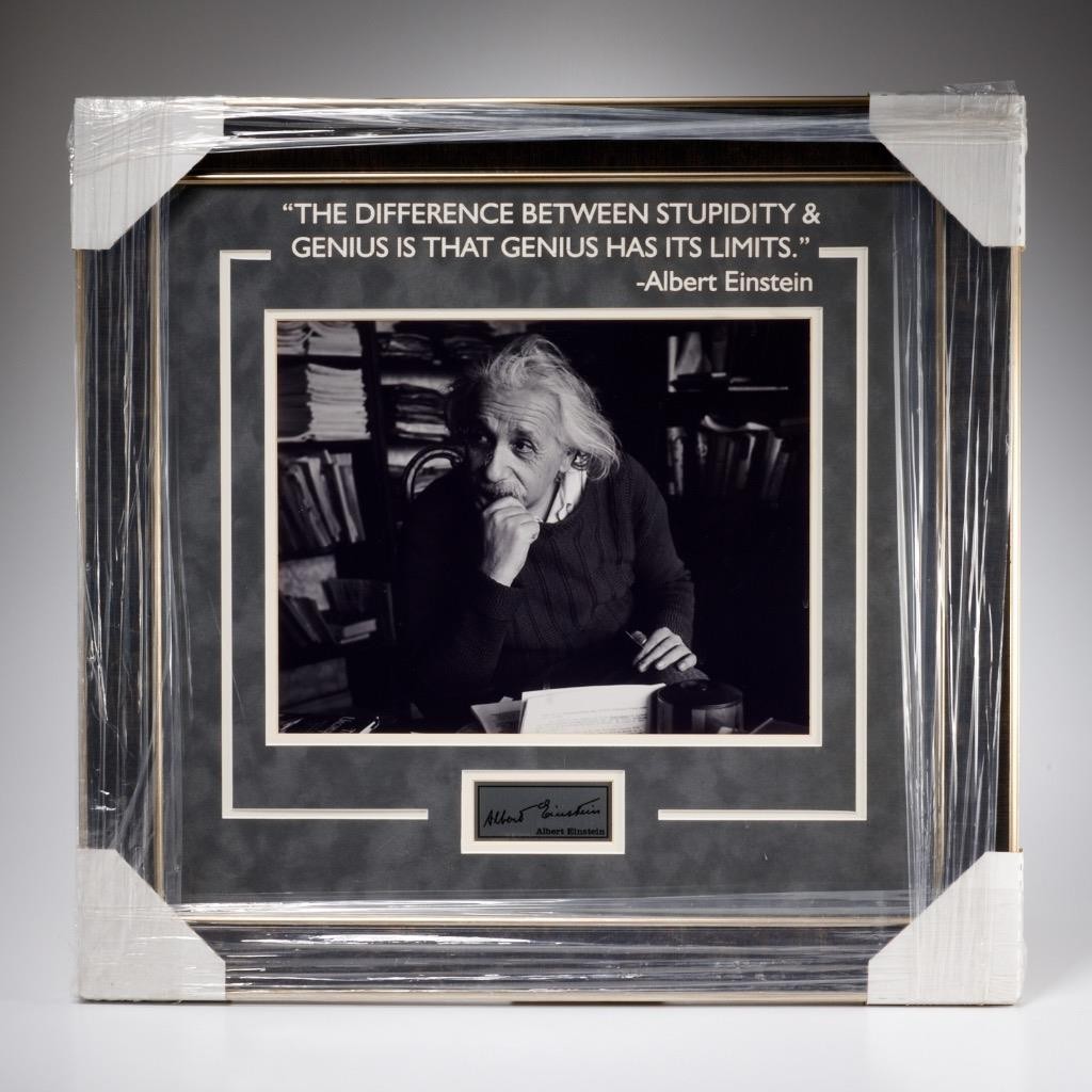 Albert Einstein Difference Between Stupidity and Genius Quote Framed 23.75″w