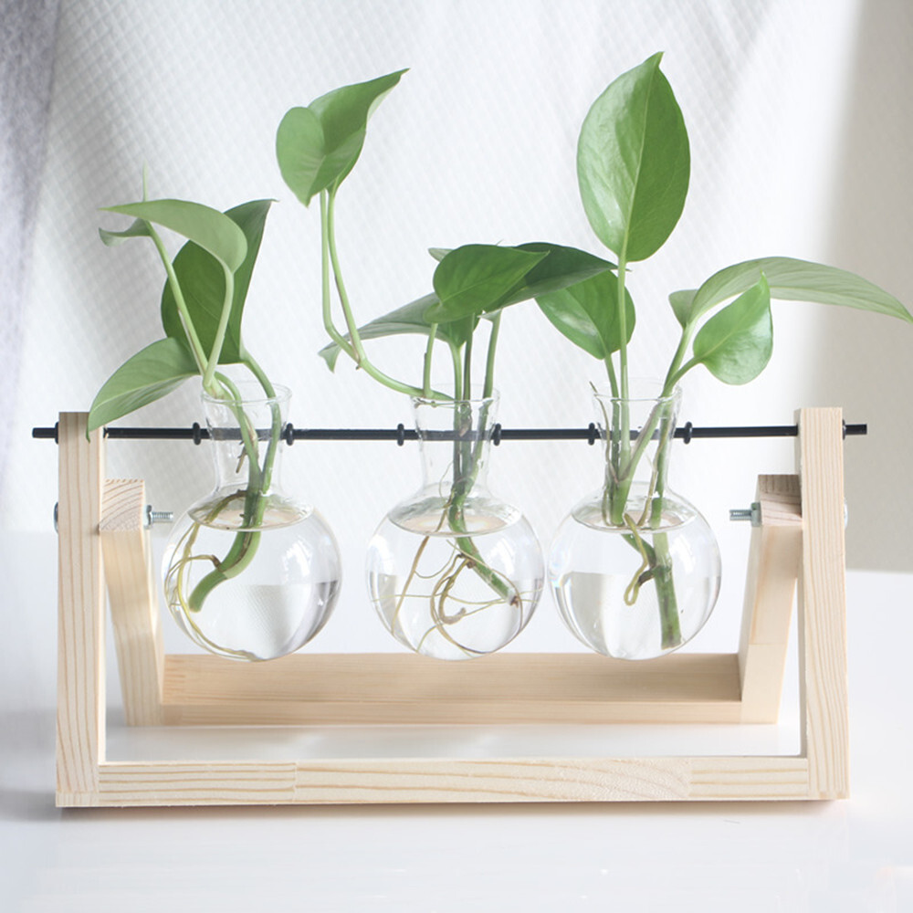 Plants Propagation Stations Hydroponic Plant Transparent 3 Bulb Vase Home Decor