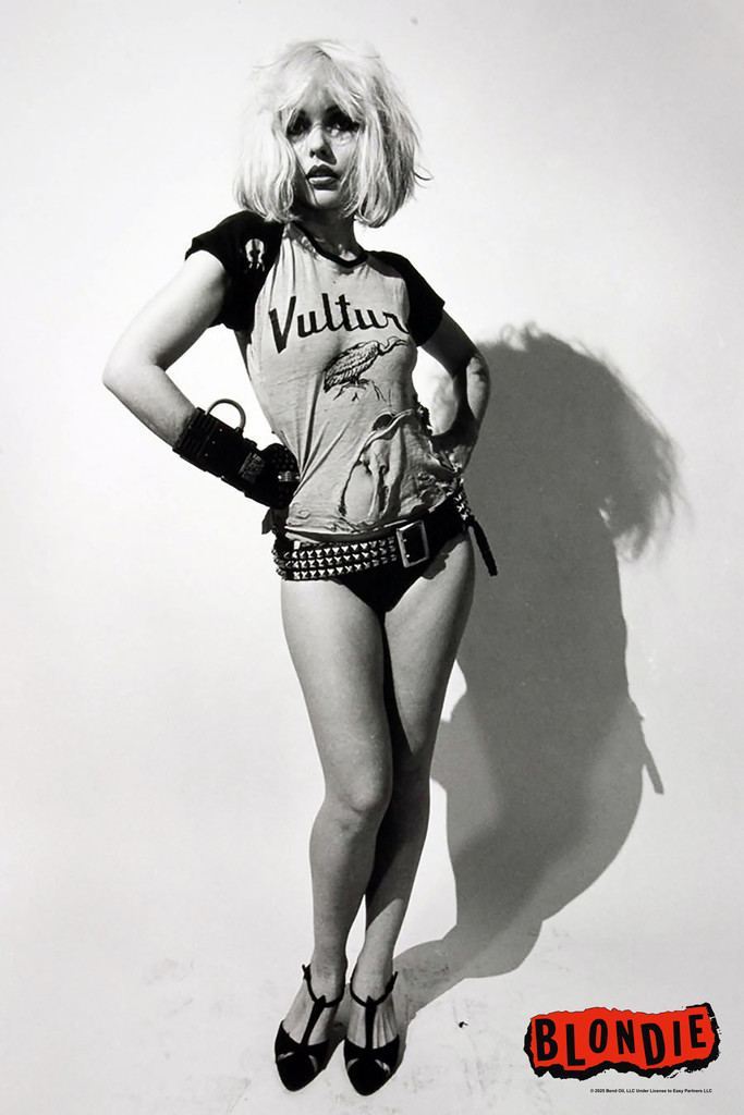 Blondie Poster Vultures Punk Rock Debbie Harry Cool Wall Art Print Poster 12×18
