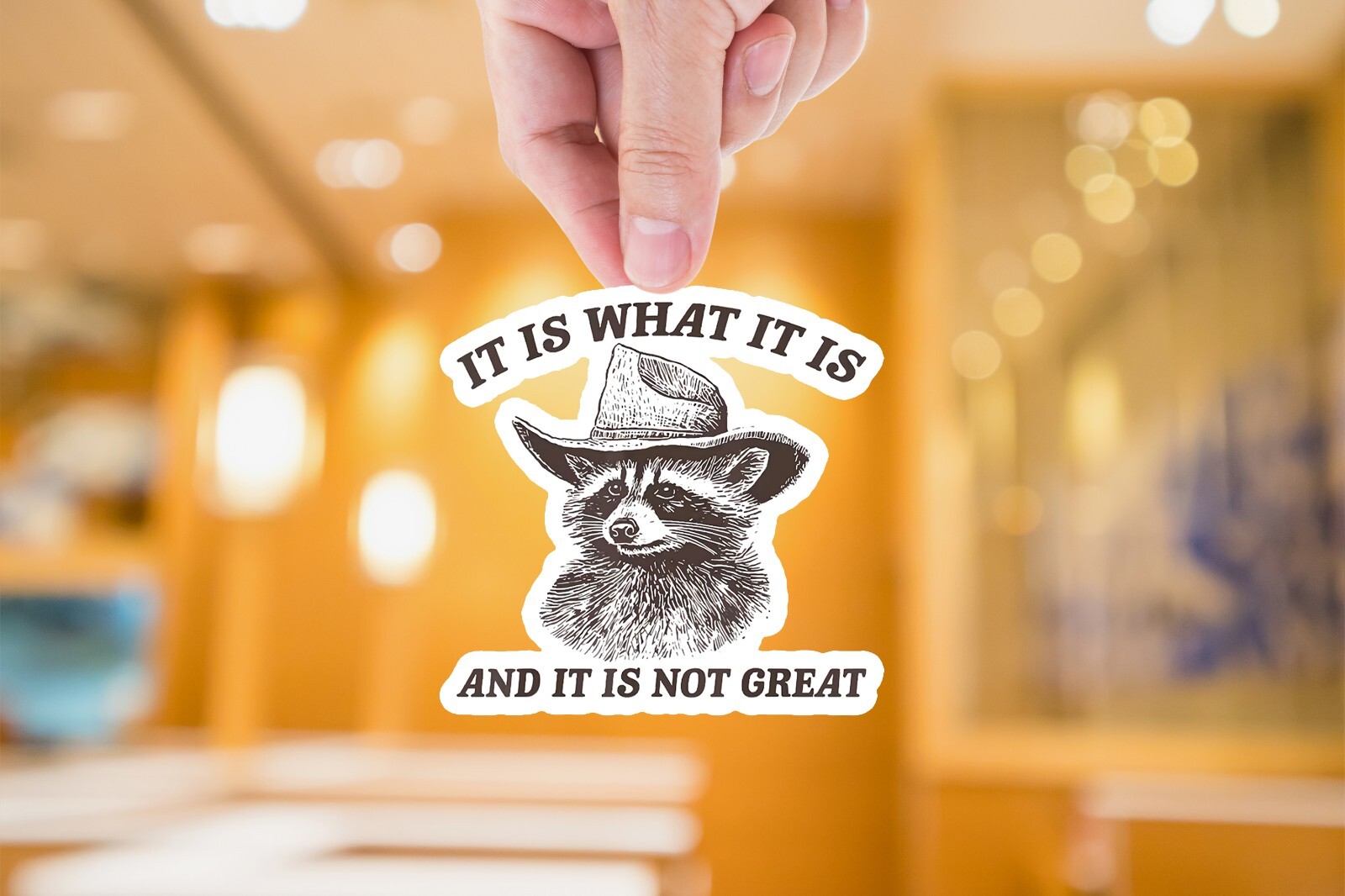 It Is What It Is Sticker, Funny Raccoon Meme Sticker Vintage Raccoon Sticker