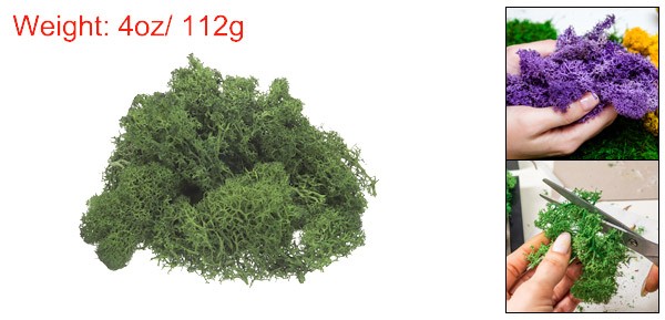 Preserved Reindeer Moss 4 OZ Fake Moss for Crafts (Dark Green)