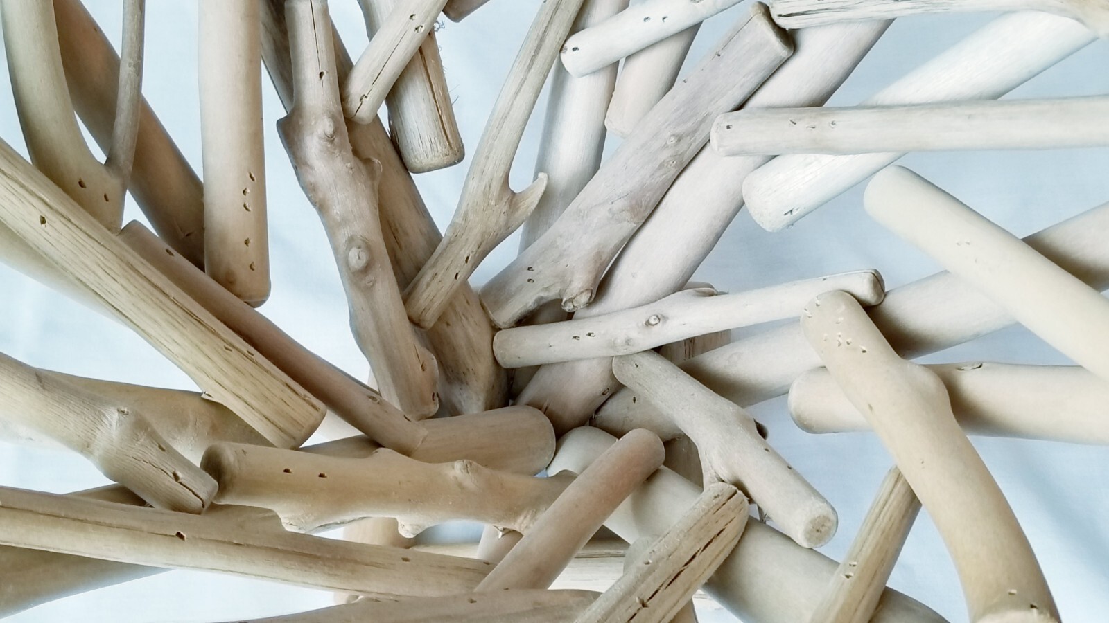 Anthropologie Driftwood Wooden Bowl Beach House Centerpiece Wood Decorative Art