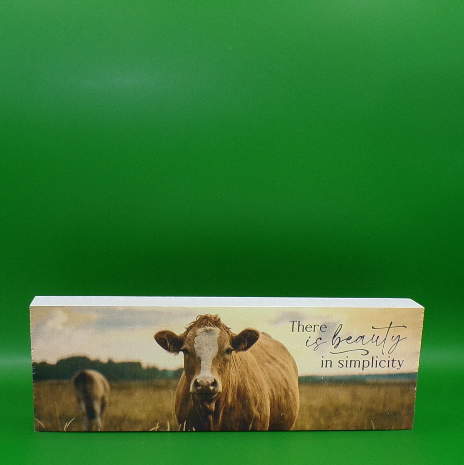 There Is Beauty In Simplicity Wood Block 10″x3.5″x1.25″ New P Graham Dunn