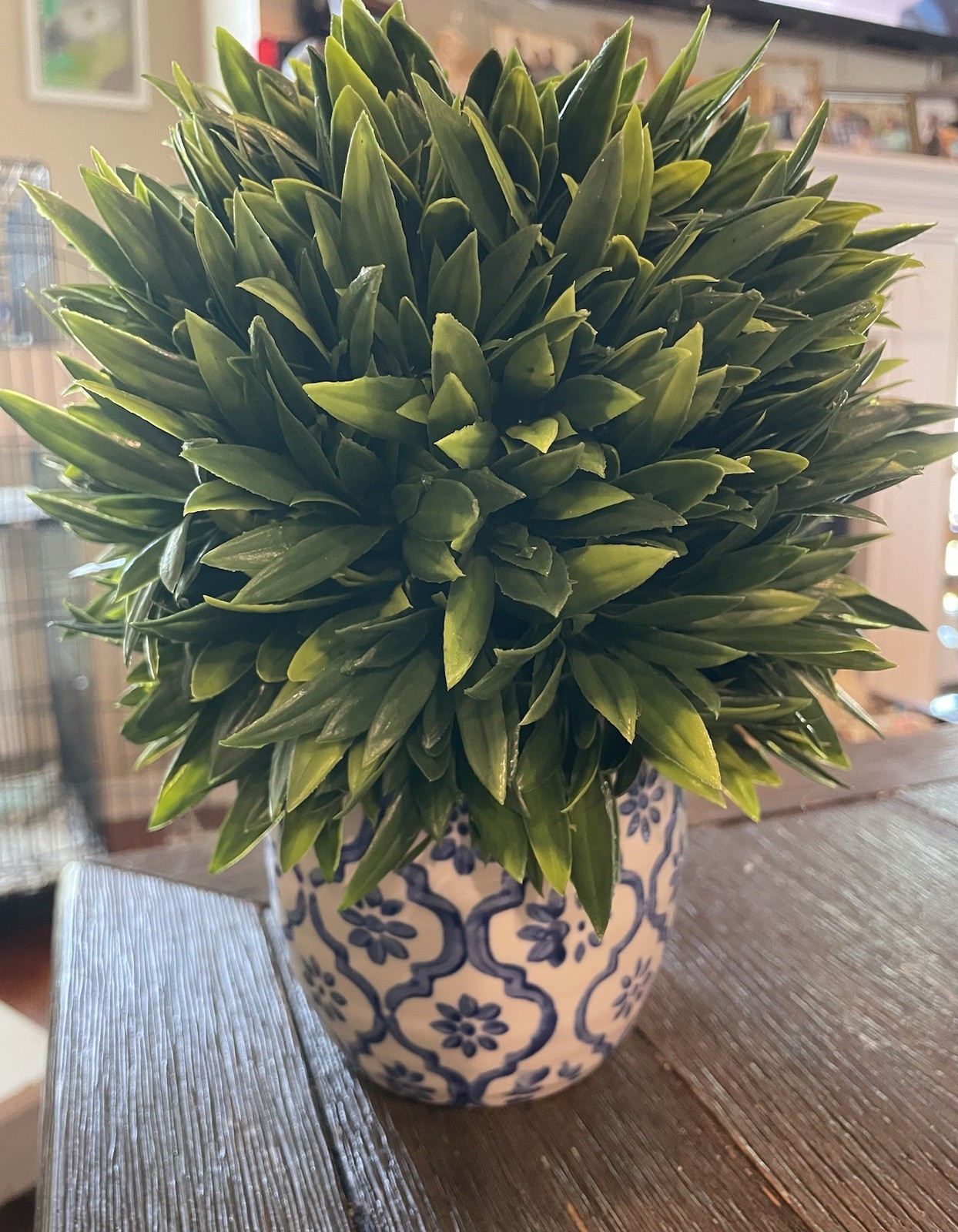 Artificial 10 In Potted Boxwood Plant Greenery with Blue Ceramic Pot Decor Gift