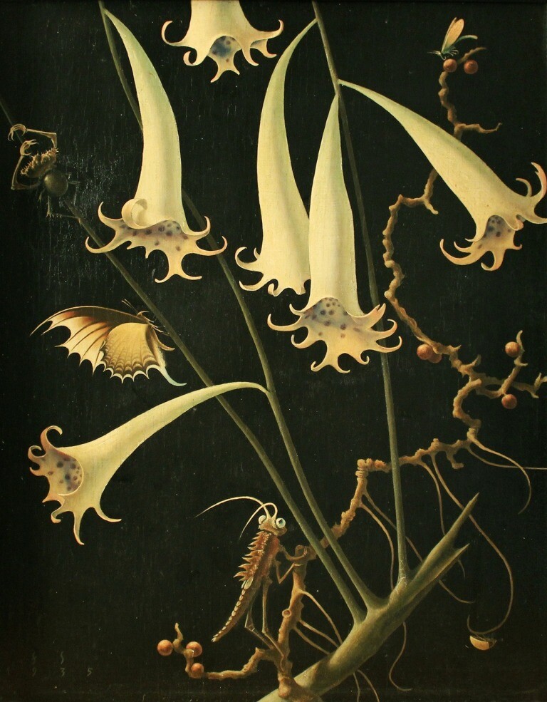 Trumpet Blooms and Insects : Franz Sedlacek c1935 Archival Quality Art Print