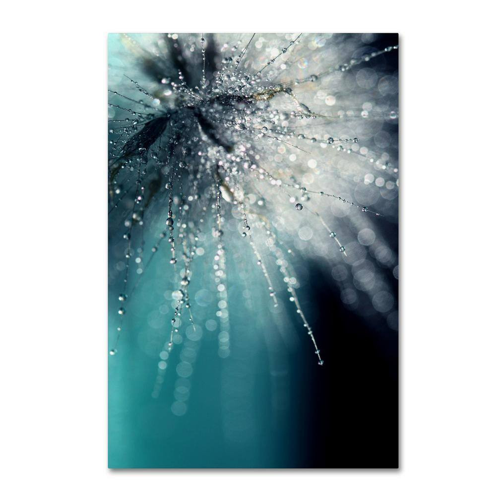 47 In. X 30 In. “Morning Sonata” by Beata Czyzowska Young Printed Canvas Wall Ar