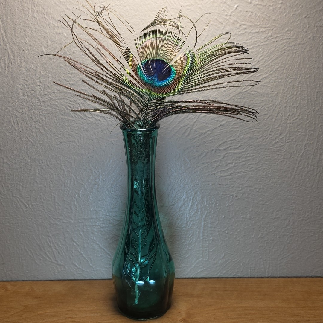 Bohemian Home Decor Evergreen Indiana Glass Vase Real Peacock Feather Boho Chic