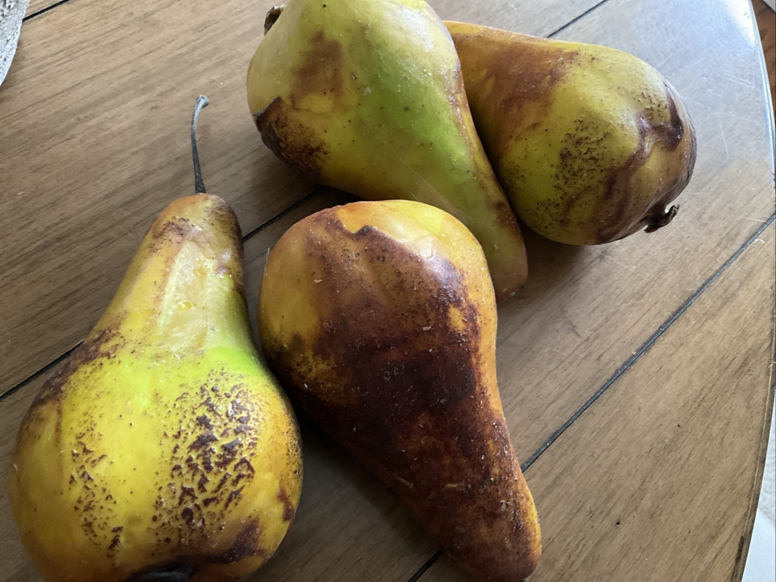 Artificial Green & Brown Pears Fake Fruit Lifelike Decorative Lot Of 6