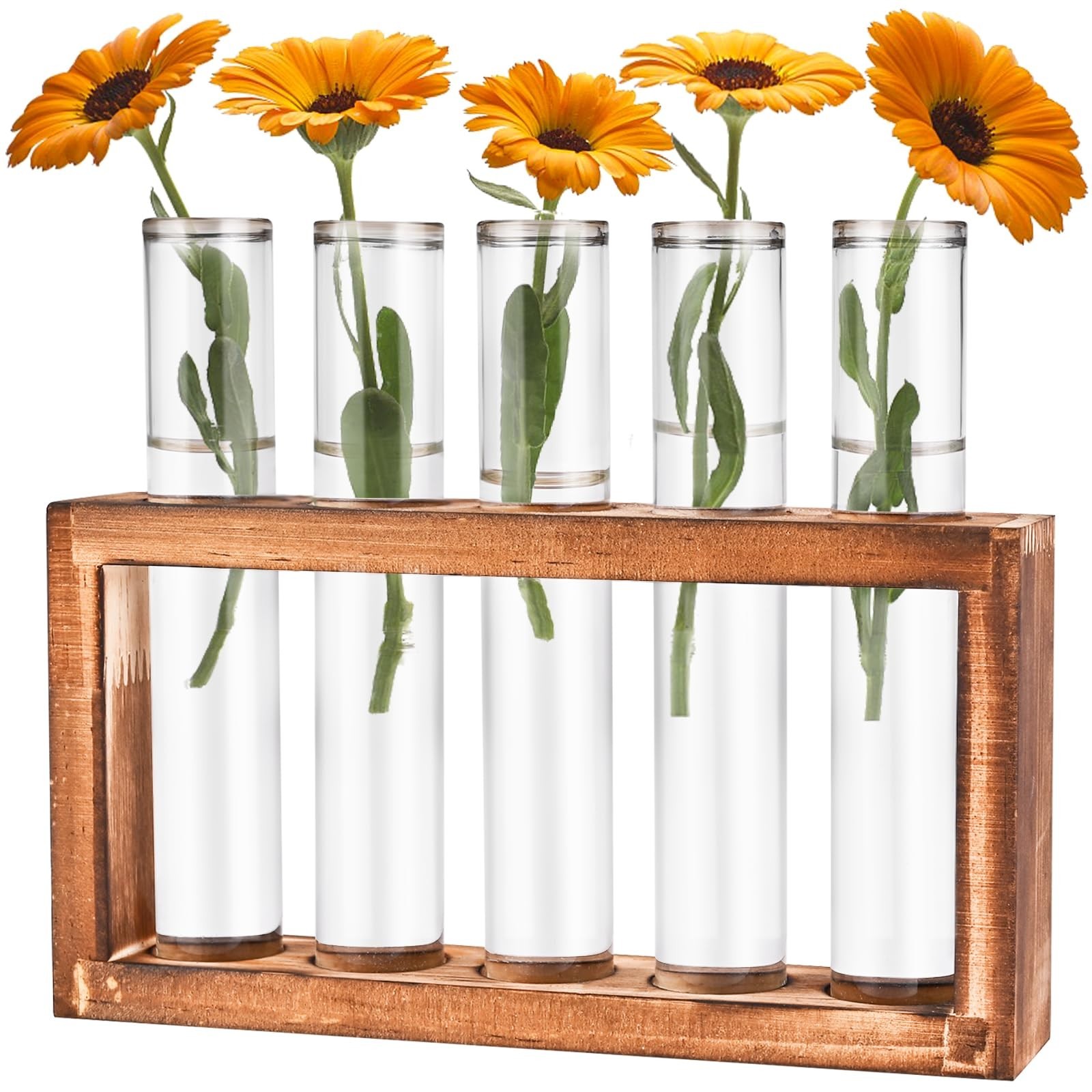 Desktop Glass Plant Propagation Station with 5 Test Tubes in Wooden Stand – H…