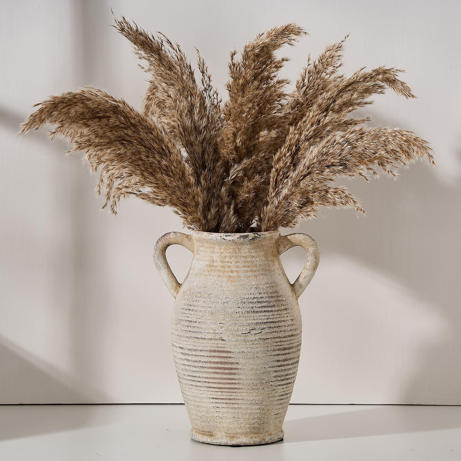 Large Ceramic Rustic Vase with 2 Handles, 9.8 inch Whitewashed Terra Cotta Va…