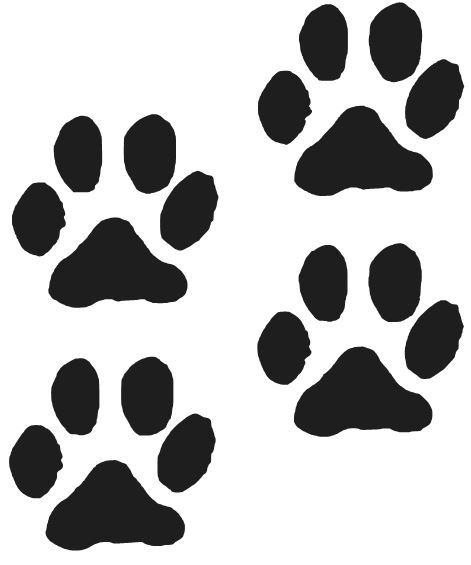 PAW PRINTS VINYL DECALS ANIMAL CUTE PET DOG PUPPY CHOOSE SIZE/COLOR