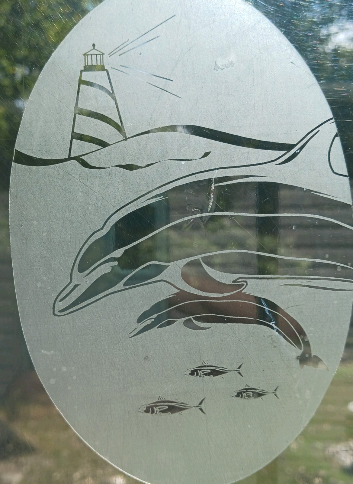 Dolphin Window Decal 20″x30″ OVAL Etched Glass Look Cling Removable & Reusable 2