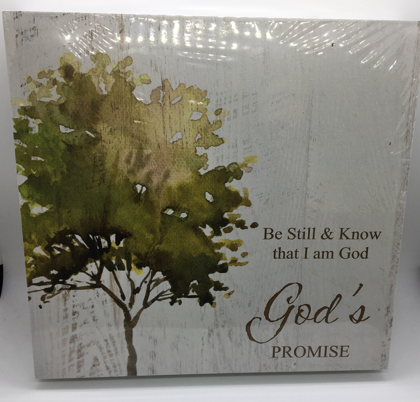 Be Still & Know that I Am God God’s Promise Wall Art P Graham Dunn New 10X10″