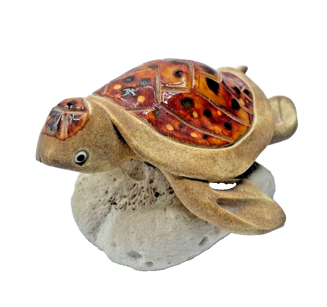 Handmade Turtle Glazed Shell on Coral Multicolor Ocean Beach Decor