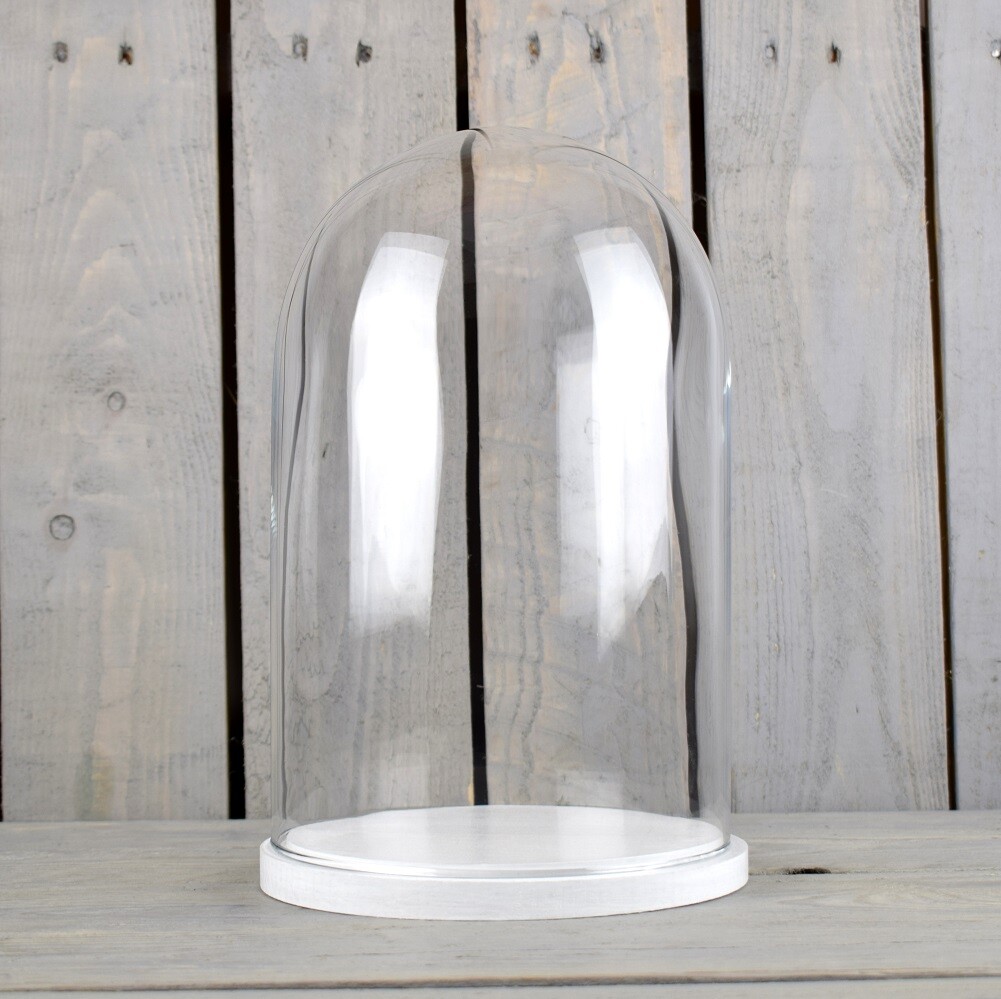 Medium Glass Dome Display Cover Cloche White Base Height 30 x 20 cm