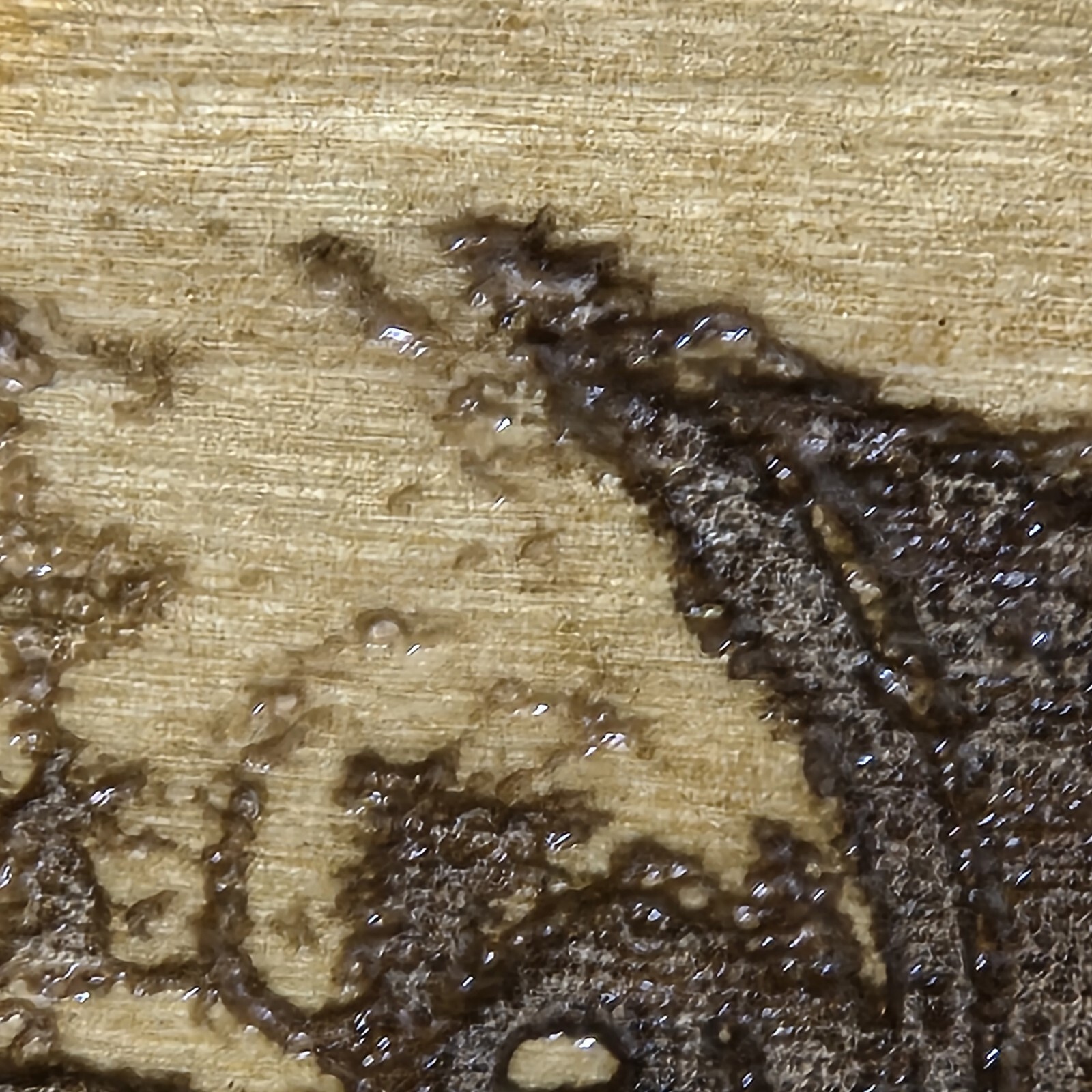 Dog Lover Rustic Wood Wall Art Pug Paw Prints Fractal Burned OOAK Handmade Sign