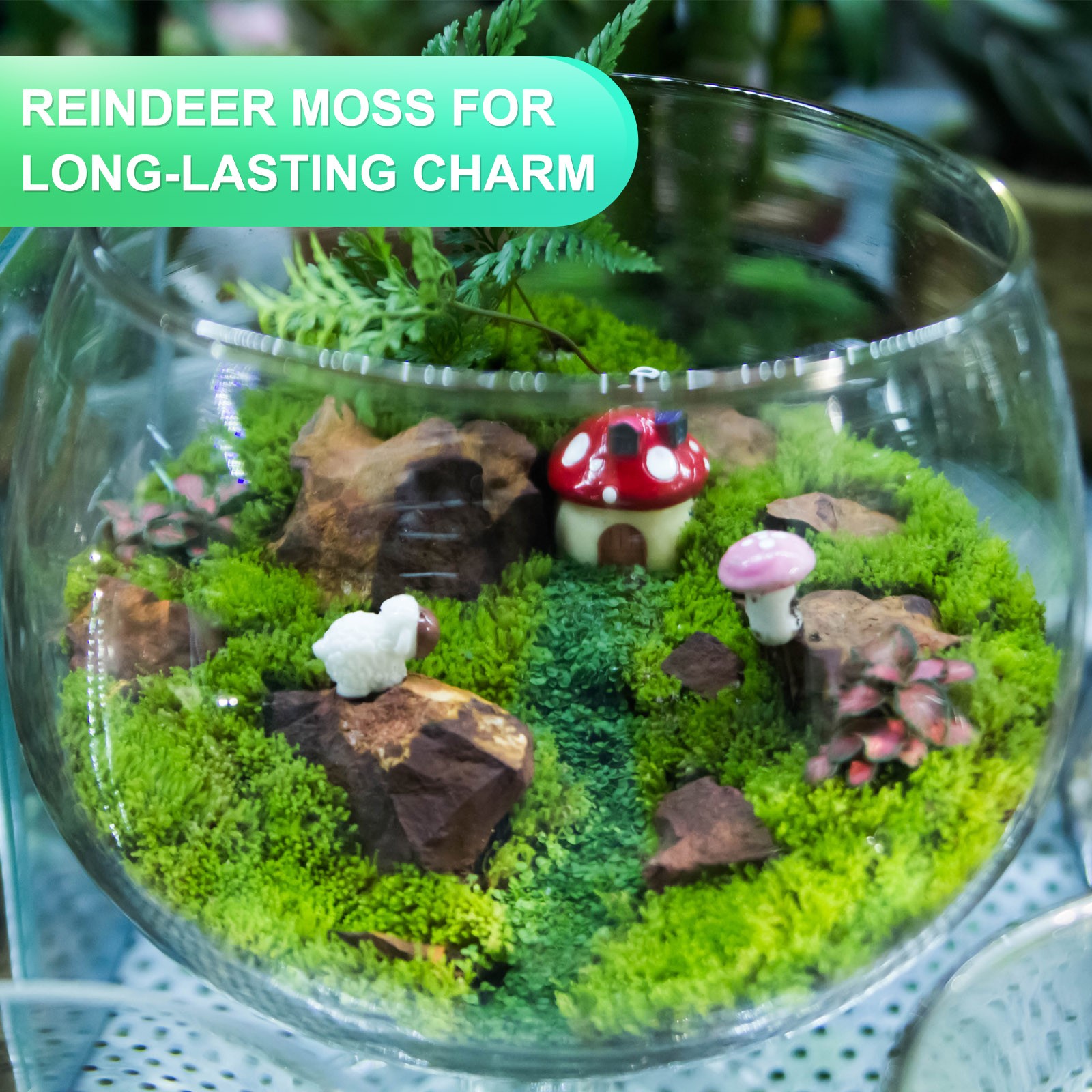 1 x Preserved Reindeer Moss 4 OZ Fake Moss for Crafts Green
