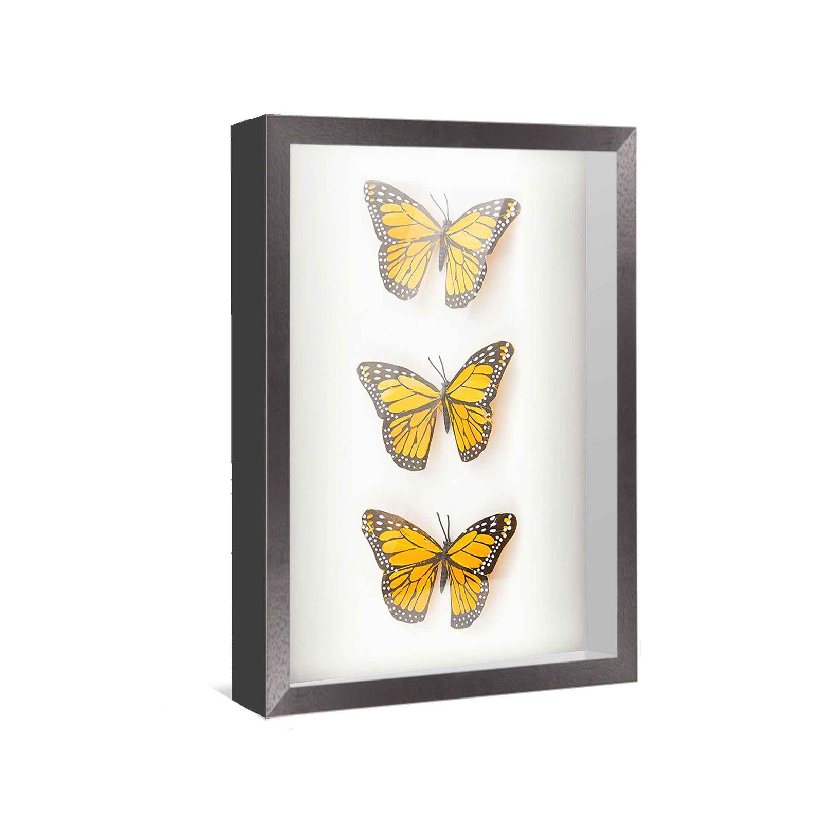 12×8 Shadow Box Frame Black | 1 Inches Deep Real Wood Farmhouse Shadowbox Displa