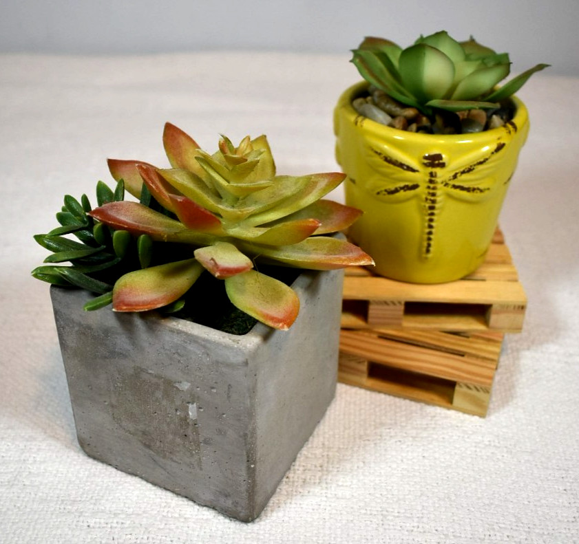 ARTIFICIAL SUCCULENT PLANTS, Set of 2 In Pots, Echeveria & Echeveria/Jade Mix