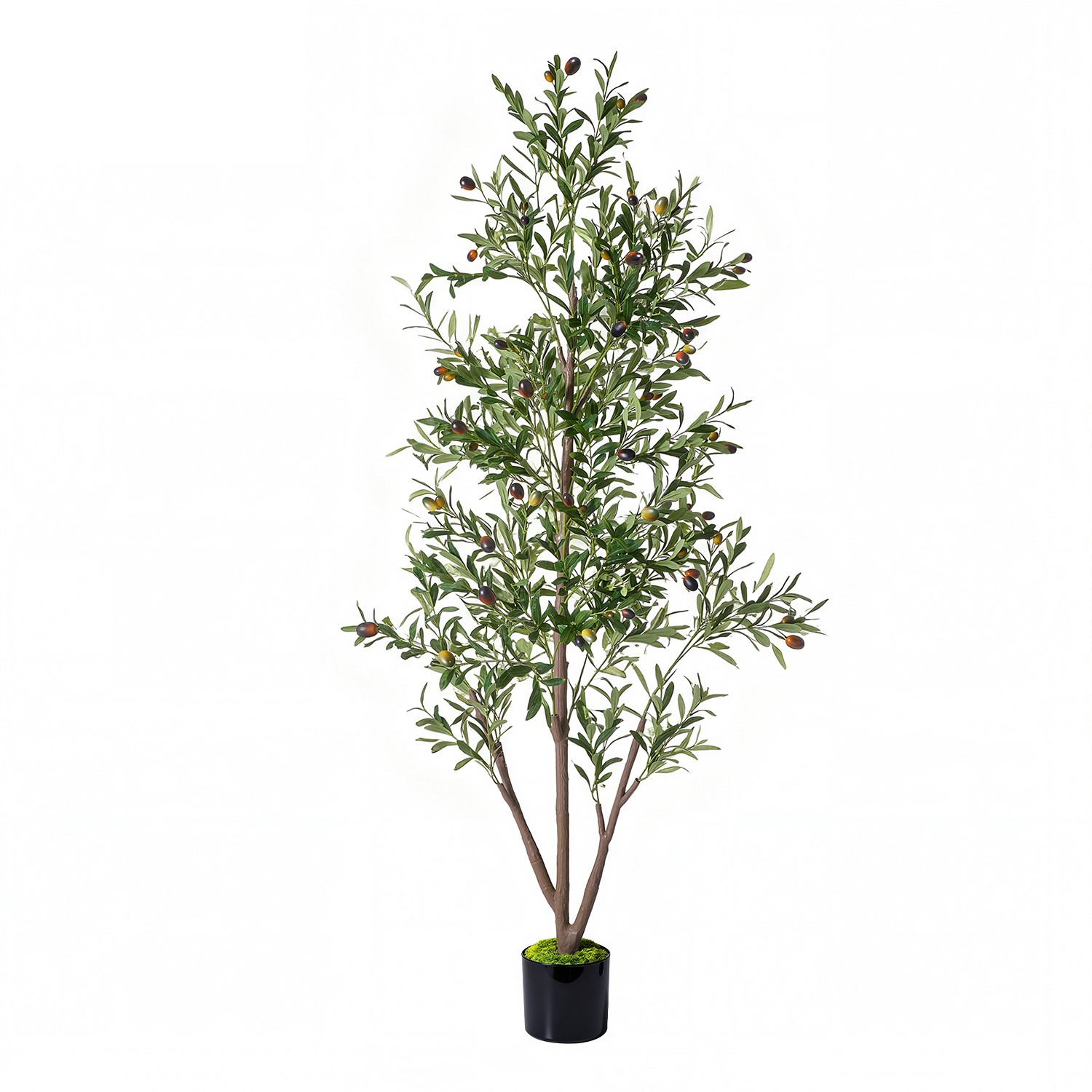 NOVAROOT 6FT Tall Olive Trees Artificial Indoor Faux Natural Wood Trunk Lifeli