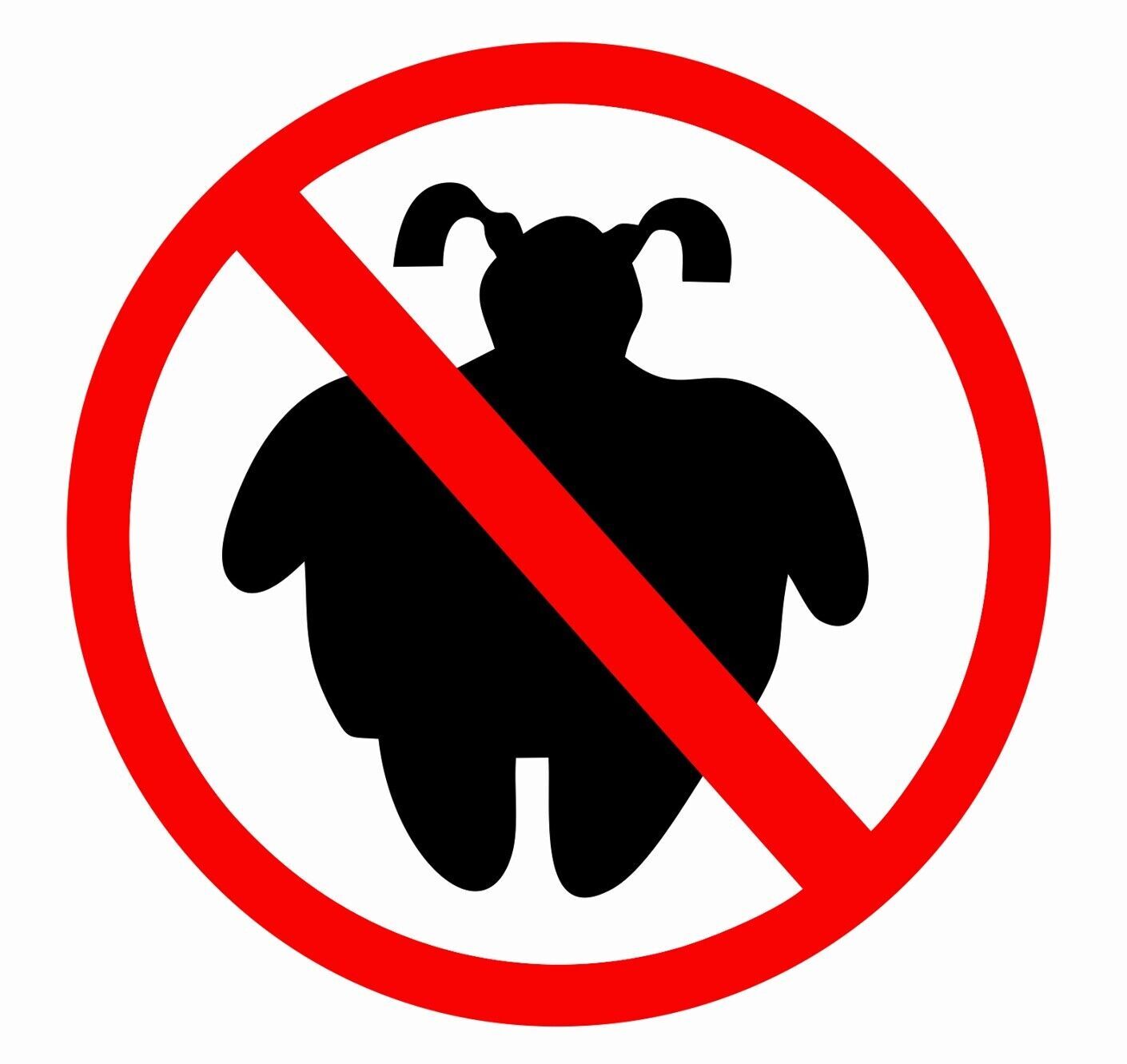No Fat Chicks Sticker Decal funny girls driving art pun
