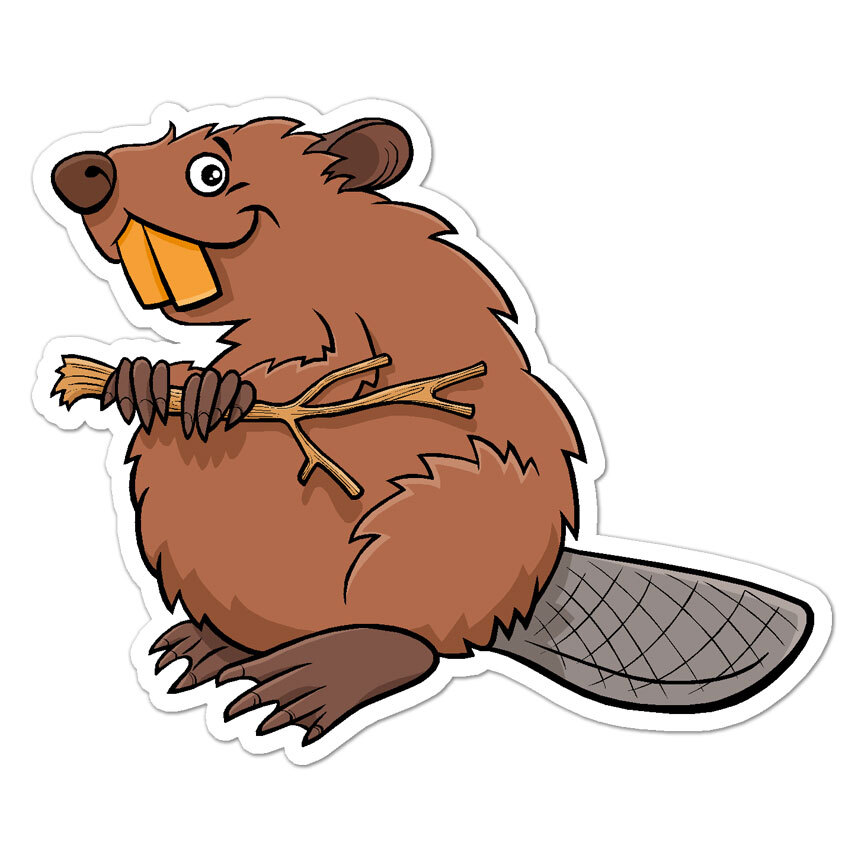 Cartoon Beaver, Vinyl Decal Sticker, Indoor Outdoor, 3 Sizes, #8617