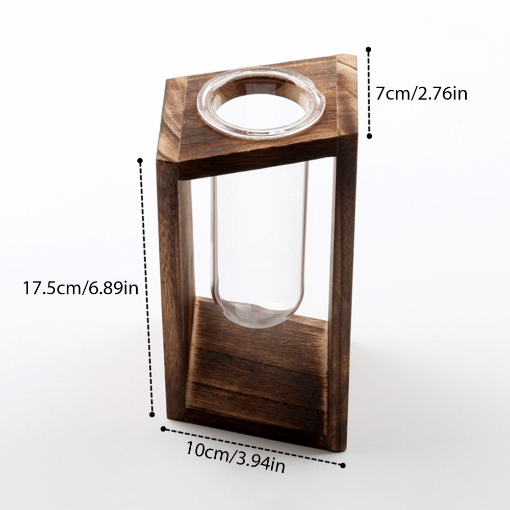 Hydroponic Glass Container Vase Jars Plant Propagation Station Vase with Saucer