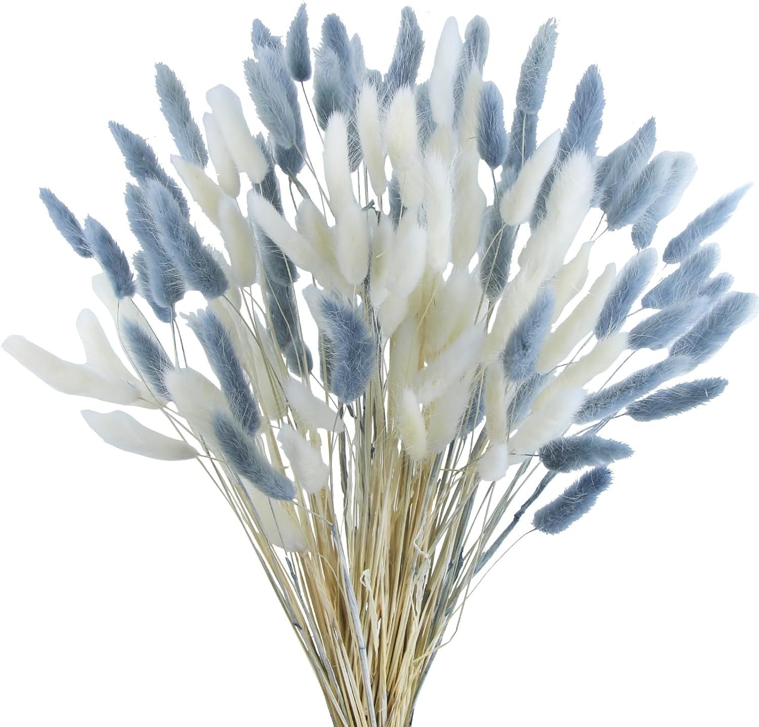 120pcs Dried Bunny Tails Grass White Gray Flowers Pampas Boho Wedding Vase Decor