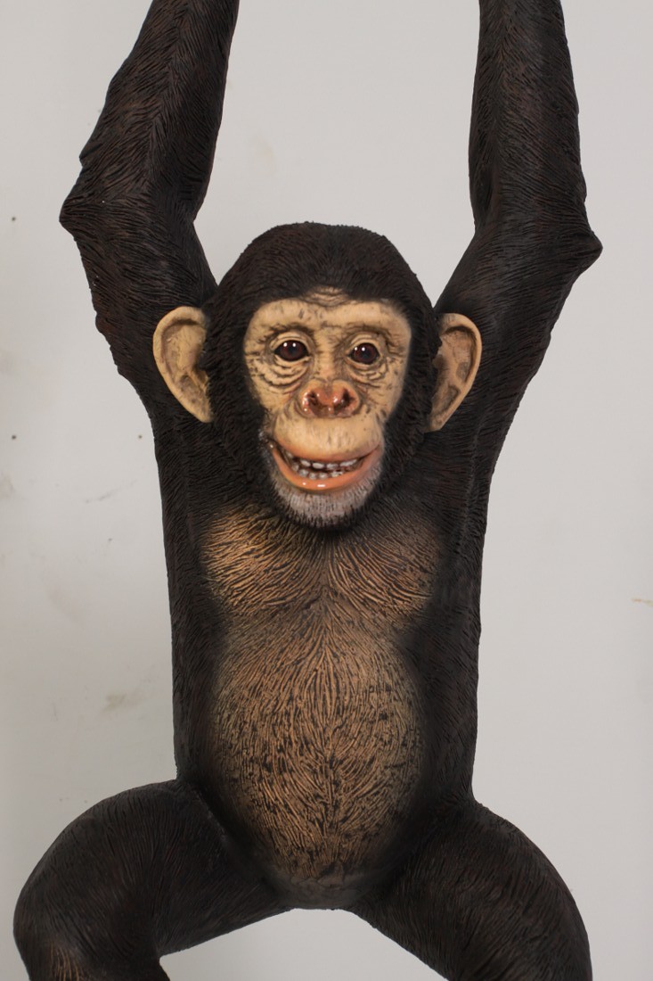 Realistic Chimpanzee Monkey Hanging From Rope With Two Hands Life Size Statue