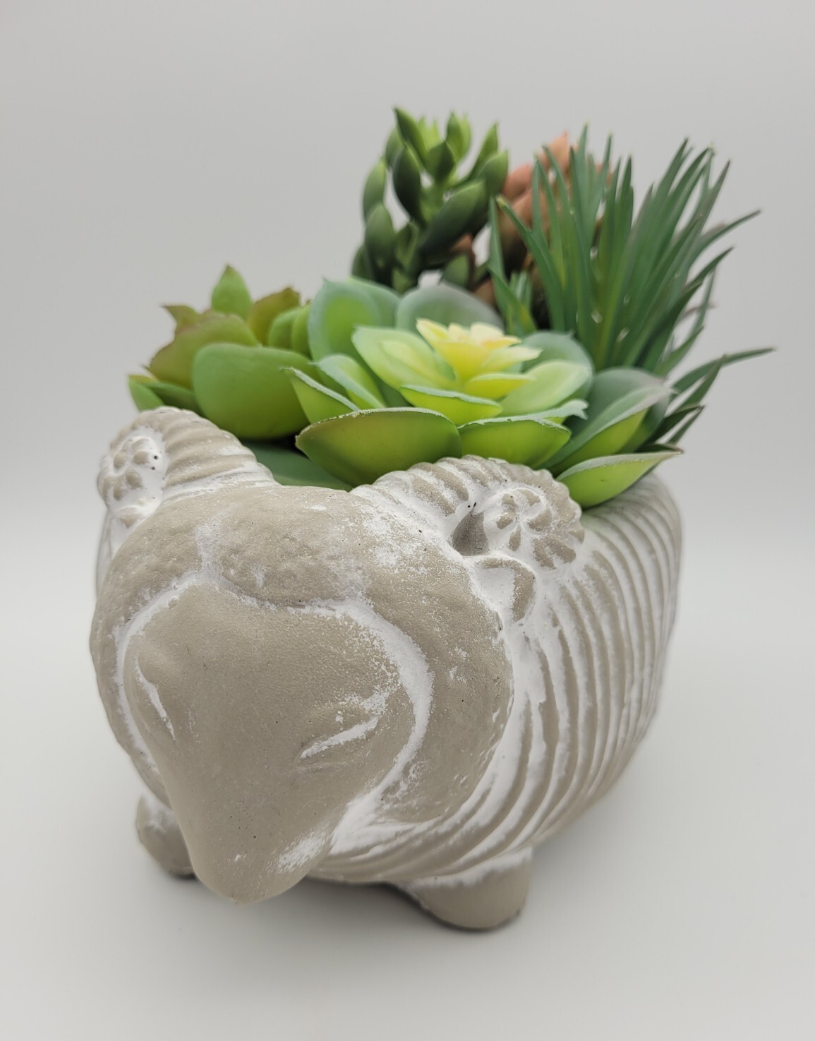 Wicker Park Ram Sheep Faux Succulent Planter (S1)