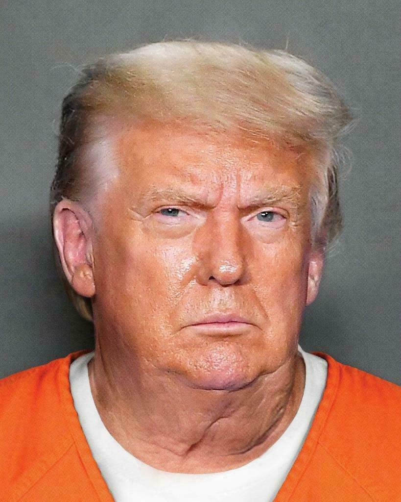 DONALD TRUMP FAKE MUGSHOT GLOSSY POSTER PICTURE PHOTO PRINT BANNER funny 6549