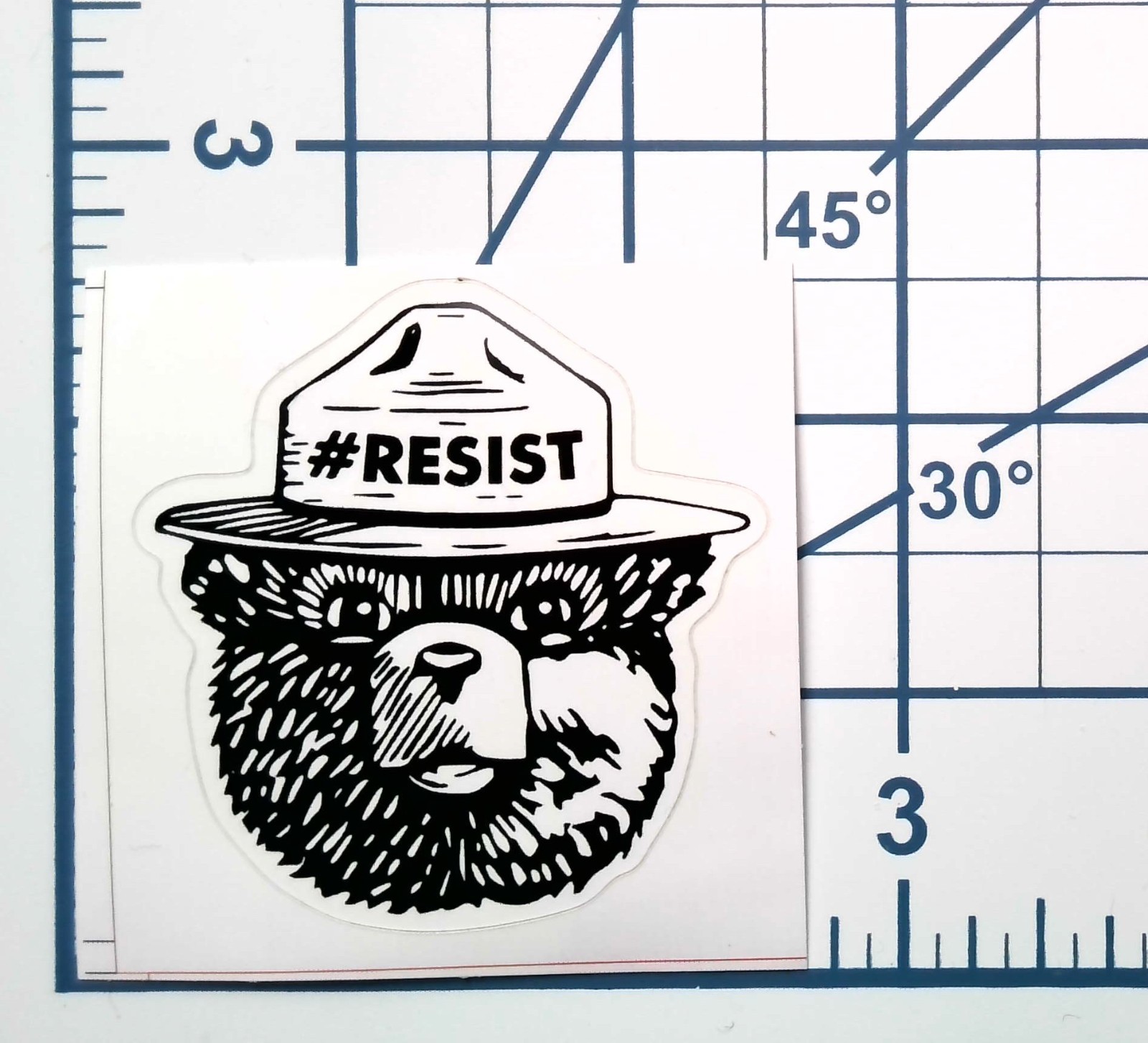 Smokey the Bear Vinyl Sticker Resist Kiss Cut Black White Durable Ready to Ship