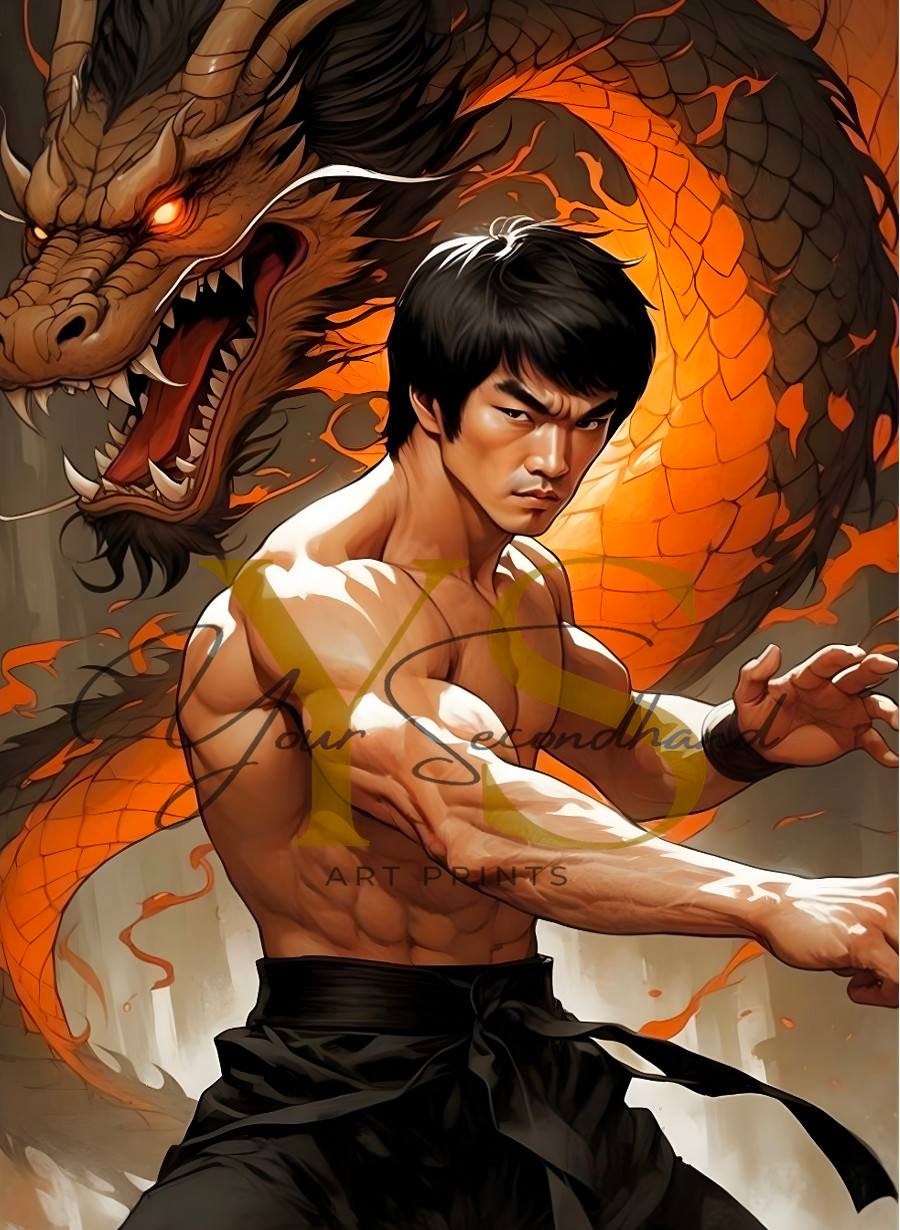 BRUCE LEE poster print 13”x19” home decor glossy paper #4