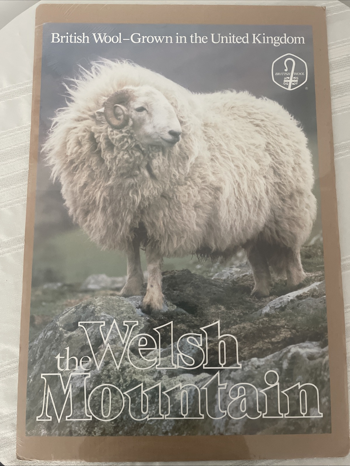 Vintage British Wool Board The Welsh mountain Poster Print
