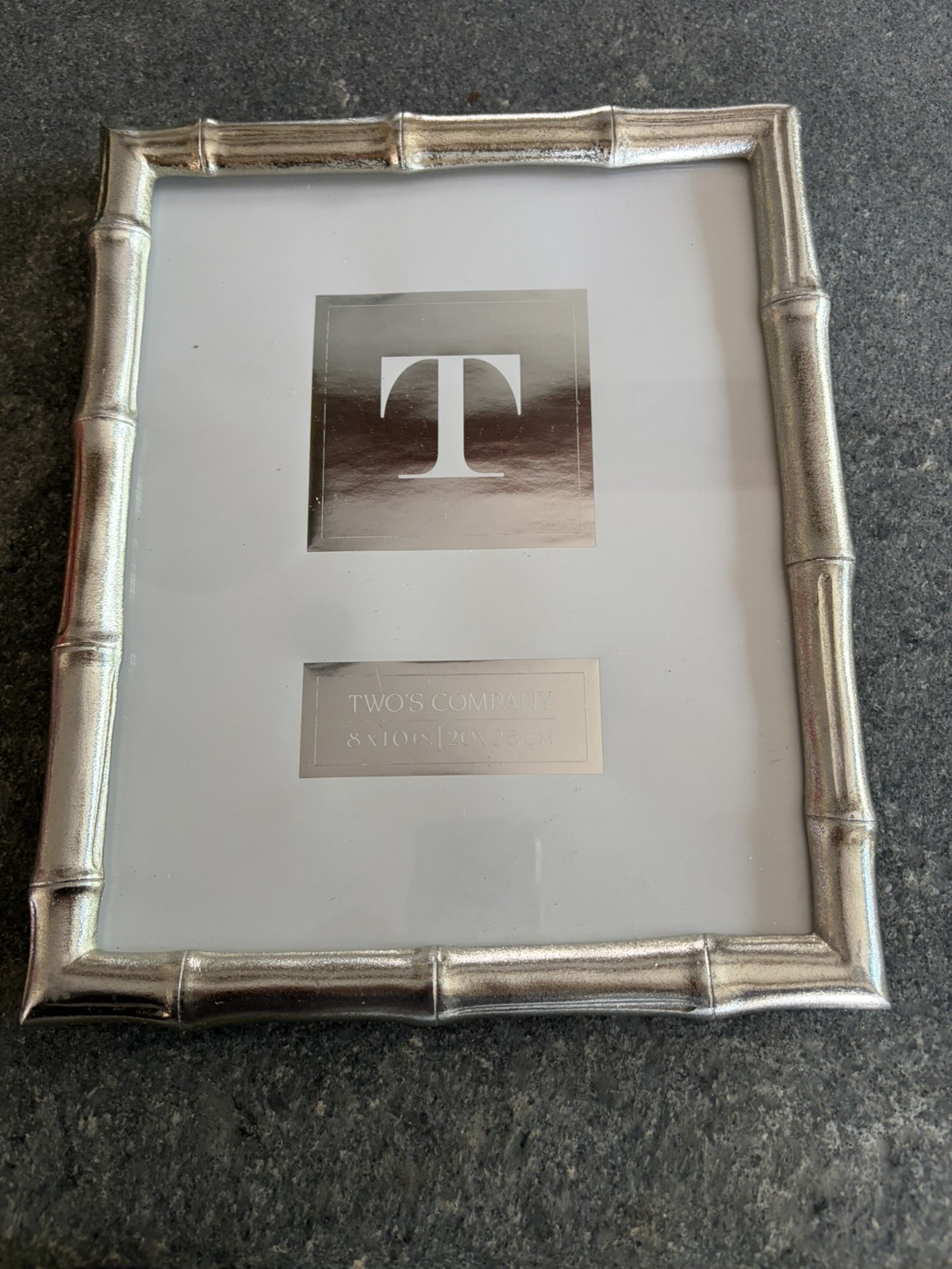 Two’s Company Faux Bamboo Silver Photo Frame 8 X 10 Inches New