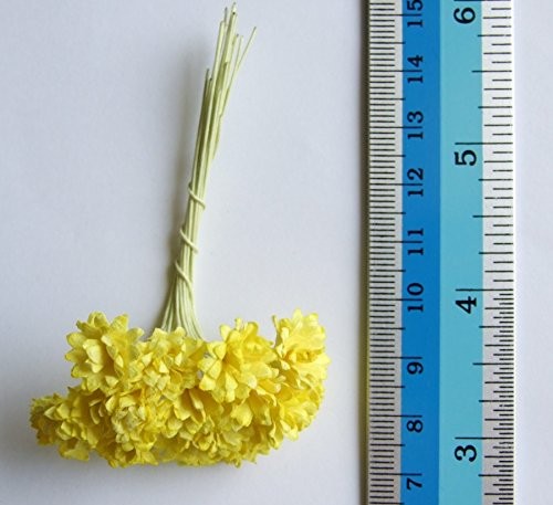 100 PCS Assorted Tiny Daisy Mulberry Paper Flower White Rope Wire 1.0cm