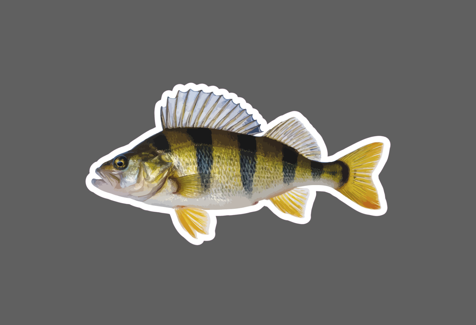 Yellow Perch Sticker Fish Animal Outdoor Wildlife Nature Gift Waterproof NEW