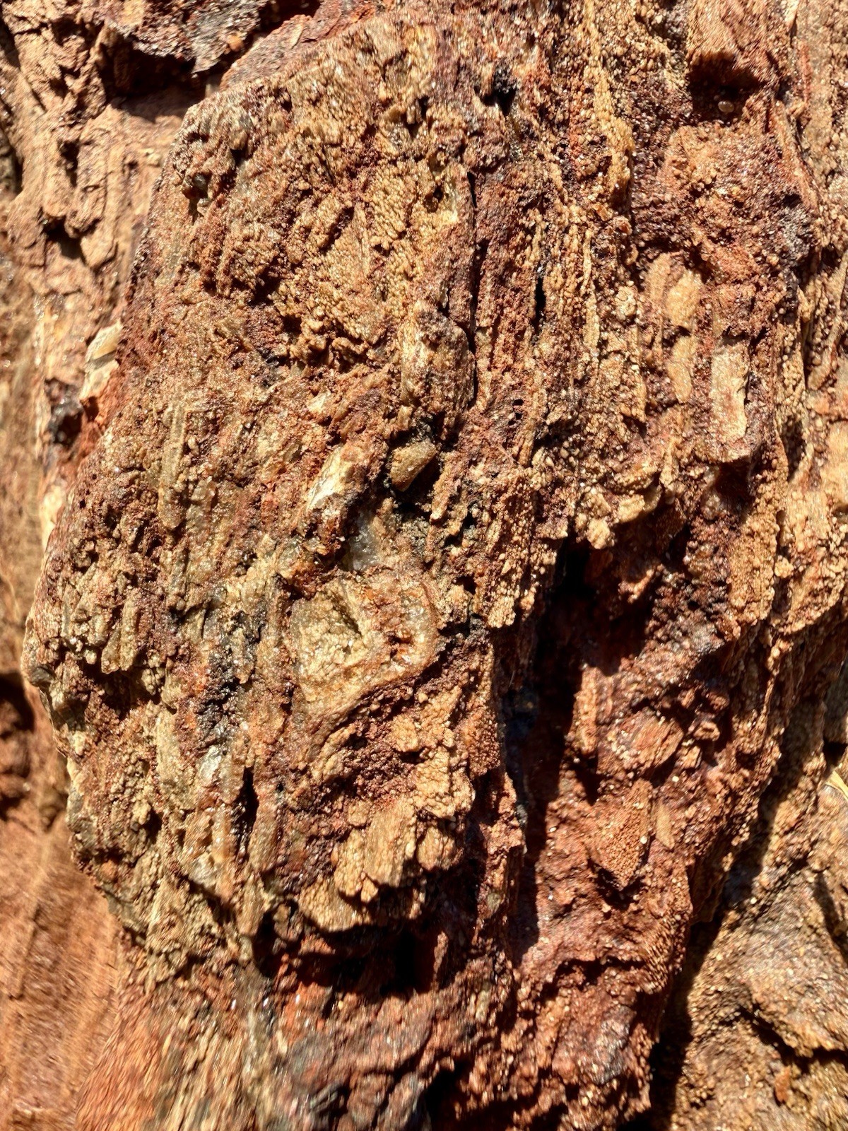 TREMENDOUS* 29# Fossil Wood~Hollow-Hole Thru Center/Striking Color • Aqua-Scape