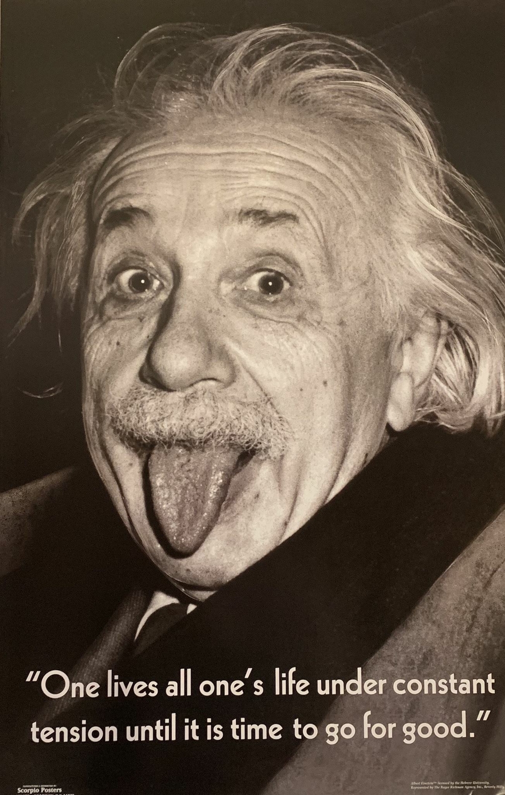 Albert Einstein Tongue Out Quote Poster 22 X 34