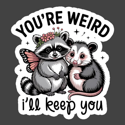 Raccoon Sticker Vinyl Decal Youre Weird Ill Keep You Cute Animal