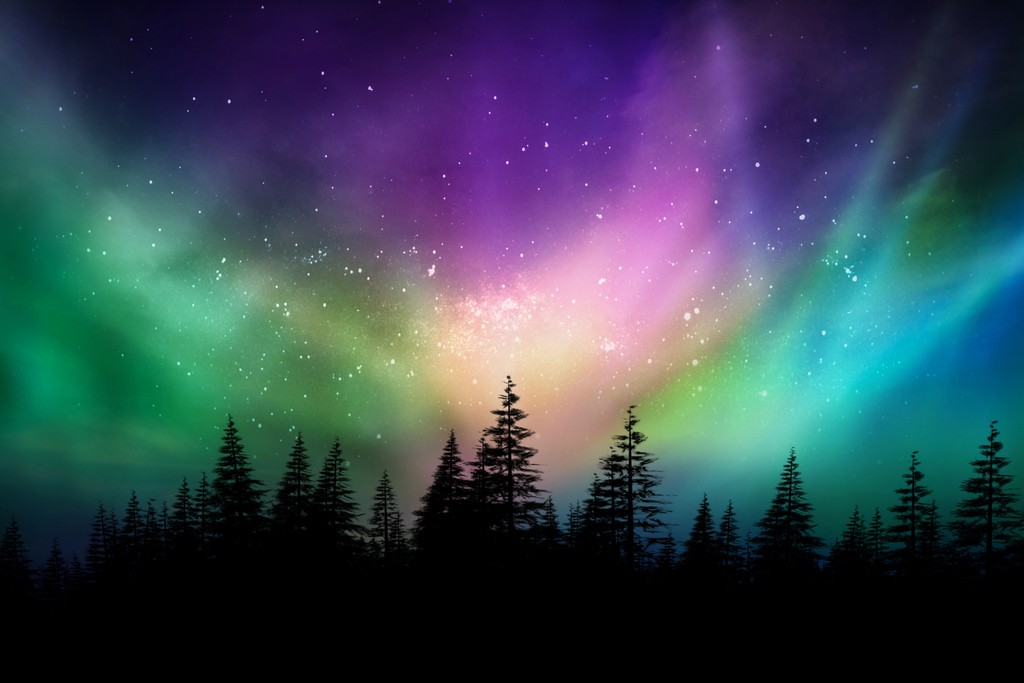 Aurora Borealis Northern Lights Canadian Forest Photo Art Print Poster 18×12
