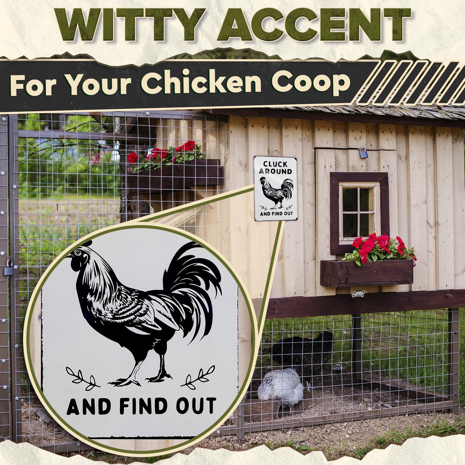 Cluck Around and Find Out Sign – 12 x 8 inch Funny 12 x 8 inches, Chiken smt2
