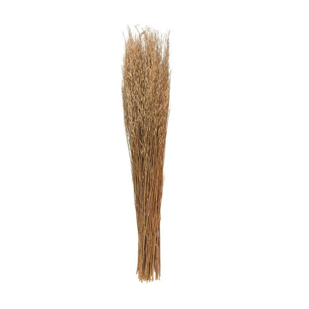 42 In. Tall Sticks Natural Foliage with Grass (One Bundle)