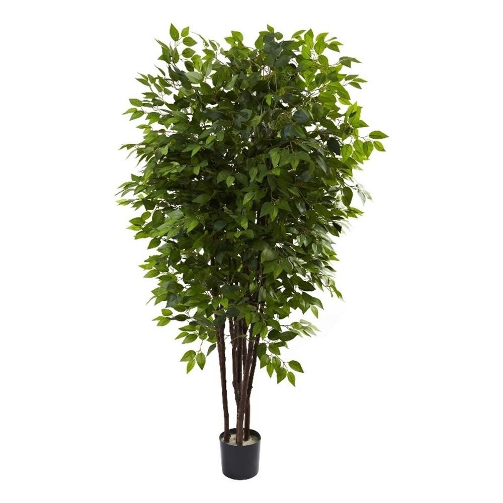 Pemberly Row 78″ Deluxe Ficus Tree with 2500 Leaves in Green/Black