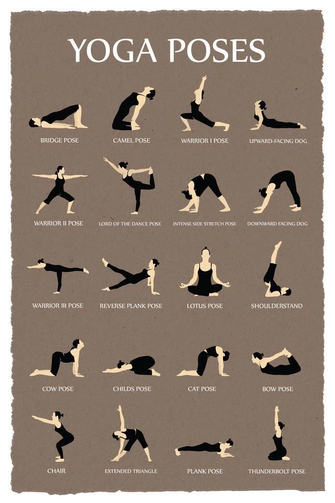 Yoga Poses Reference Chart Studio POSTER 24 X 18 Inches Sweet!