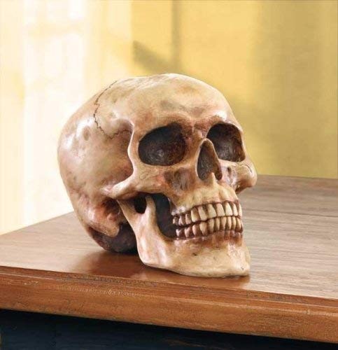 Grinning Highly Realistic Replica Human Skull Statue Home Décor 6.5×4.25×4.6″