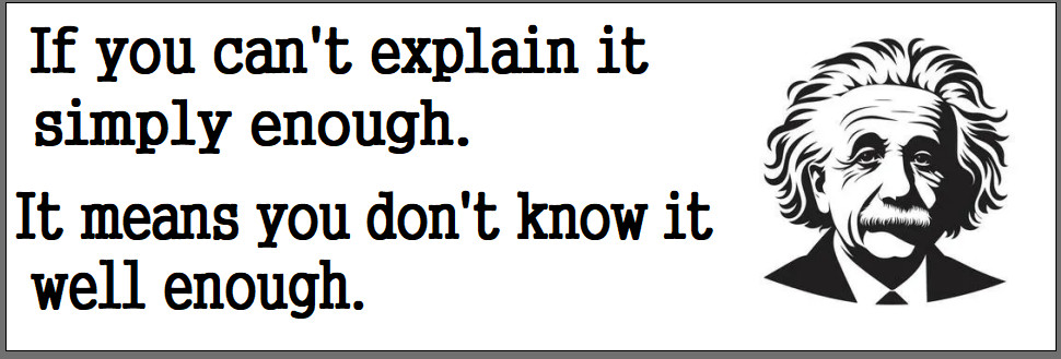 Albert Einstein Quote Bumper Sticker ~ Can’t Explain It / Don’t know it.