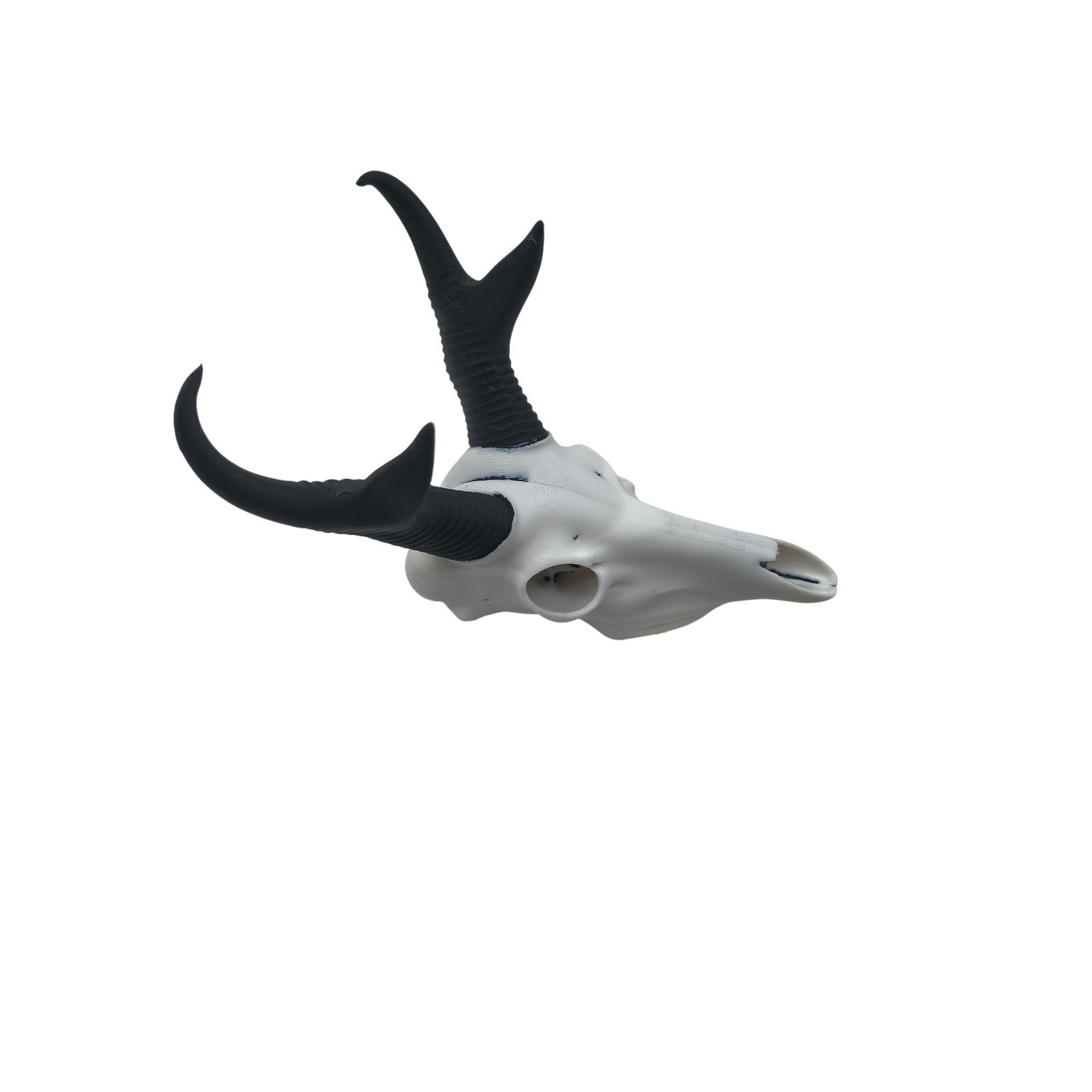 3D Printed Pronghorn Antelope Skull Replica Faux Taxidermy White Black 7.5 Inch